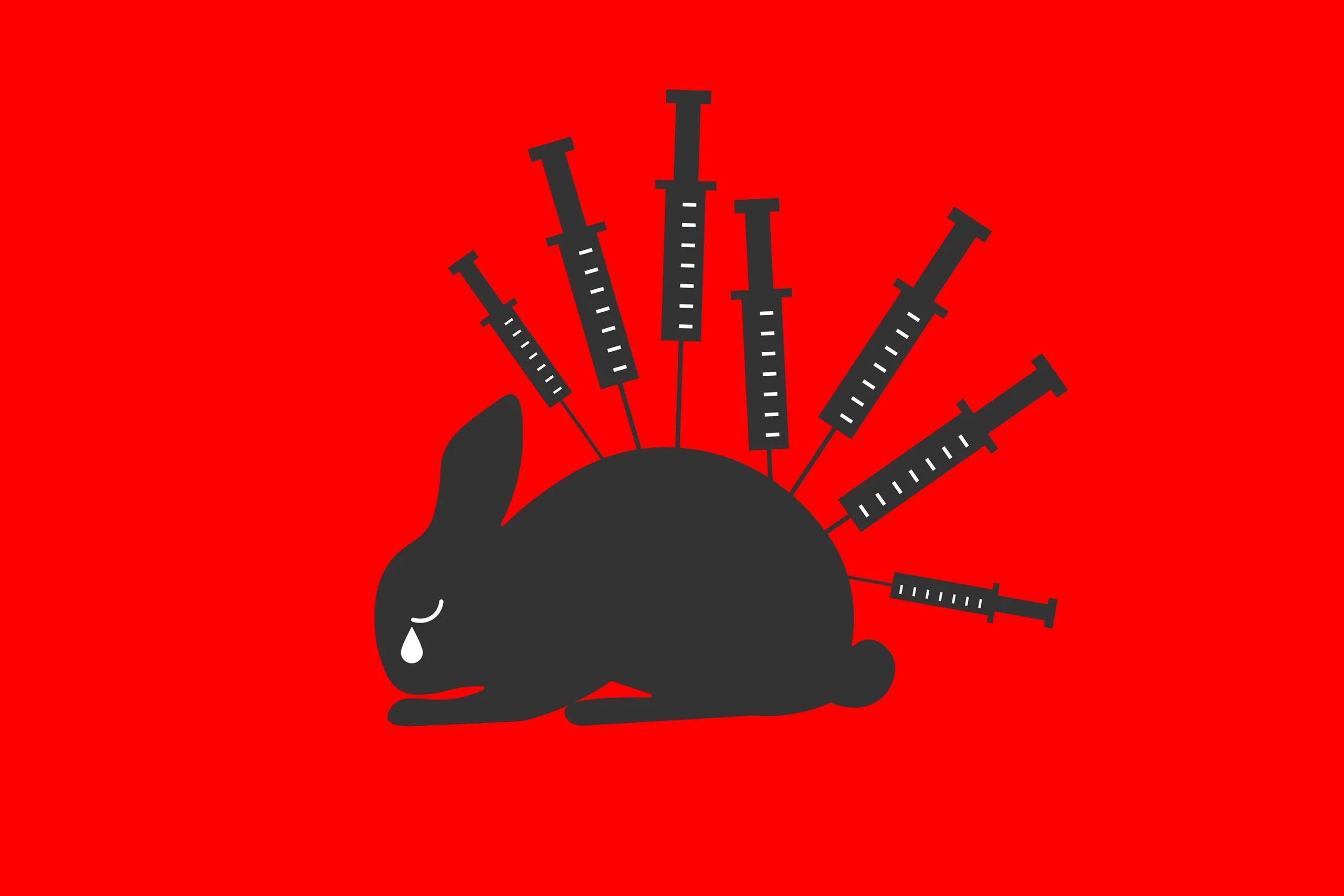 testeo en animales cruelty free
